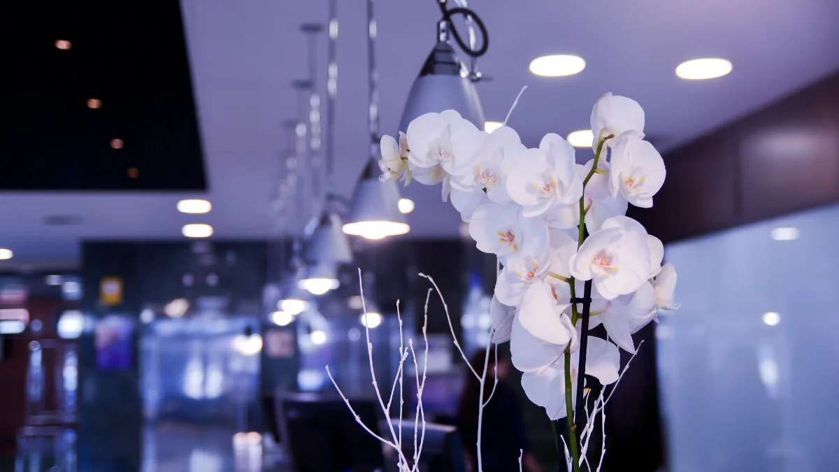 Foto - Sercotel Amistad Murcia