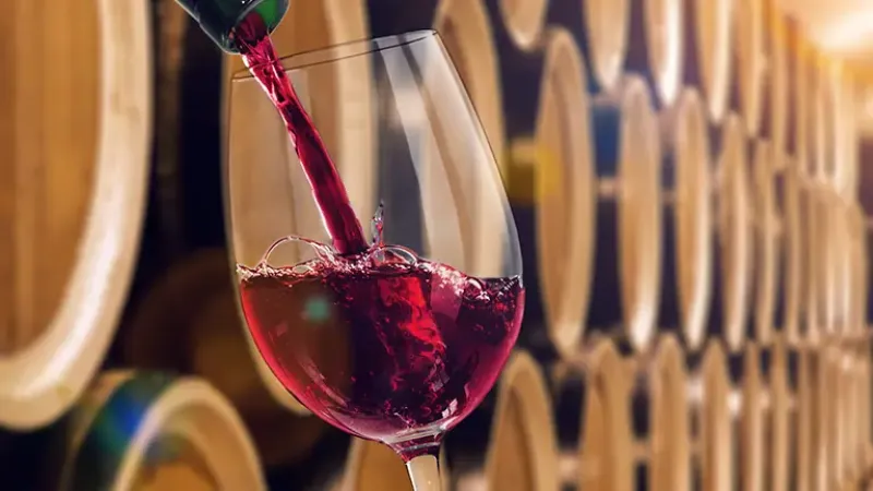 Vino Vino