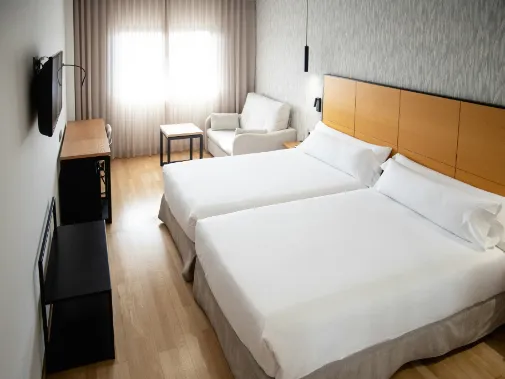 Habitaciones/Classic Twin Room