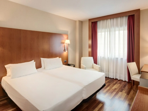 Habitaciones/Classic Twin Room