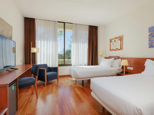 Habitaciones/Classic Twin Room