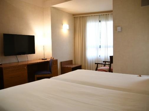 Habitaciones/Classic Double Room