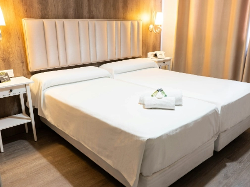 Habitaciones/Classic Twin Room