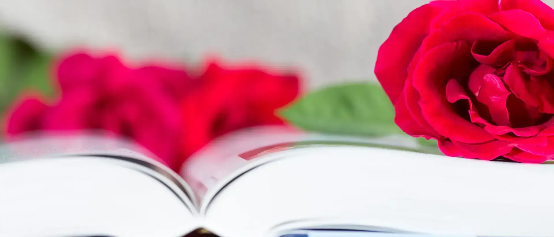 Giornata mondiale del libro Giornata mondiale del libro